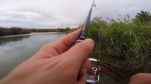 Рыбалка в Ставропольском крае. Голубой канал. 15.09.2018