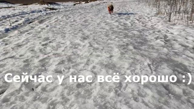 Сдали первый в жизни Фрейи экзамен ? Про обучение, послушание, трудности и успехи ? смотреть онлайн