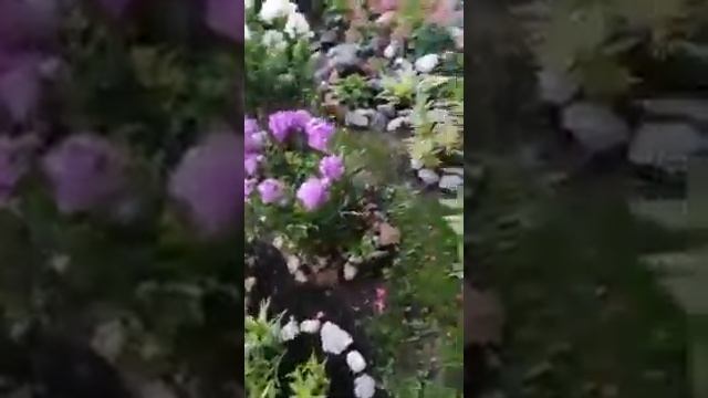 цветы под балконом ! смотреть онлайн