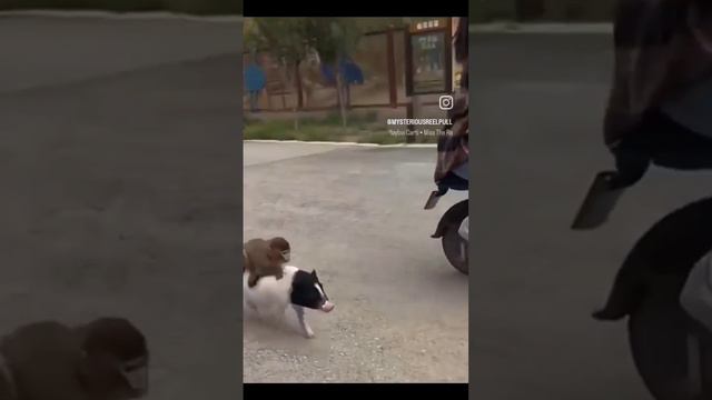 Плэйбой карти тайп бит