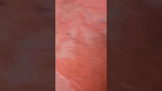 баранина в афганском казане смотреть онлайн