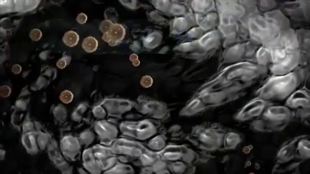 Очиститель воздуха Electrolux Oxygen смотреть онлайн