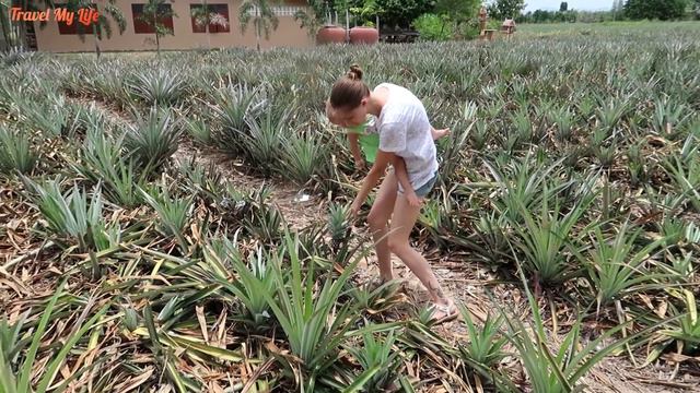 ГОРОД ХУА ХИН | ЗООПАРК В ТАИЛАНДЕ | ХУАХИН