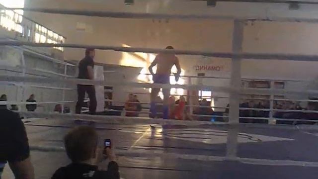 Нарек Барсегян MMA-2013