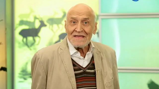 Венценосные Голуби. В МИРЕ ЖИВОТНЫХ смотреть онлайн