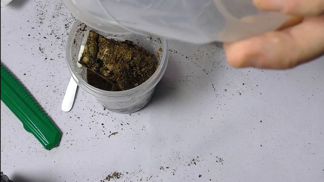 Переосмысление содержания Hati Hati