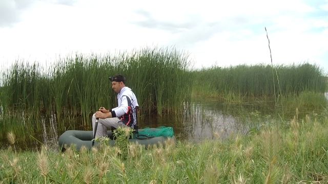 Летний змееголов Кыргызстана смотреть онлайн