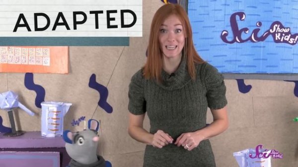 4 Facts to Know About Reindeer | Winter Science | Holiday Science | SciShow Kids