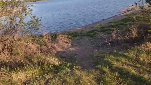 Место под рыбалку с берега на поплавок смотреть онлайн