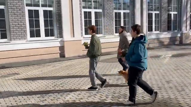 перевалова смотреть онлайн