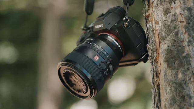 My New Favorite 50mm lens?! | Sony 50mm f/1.2 GM Review смотреть онлайн