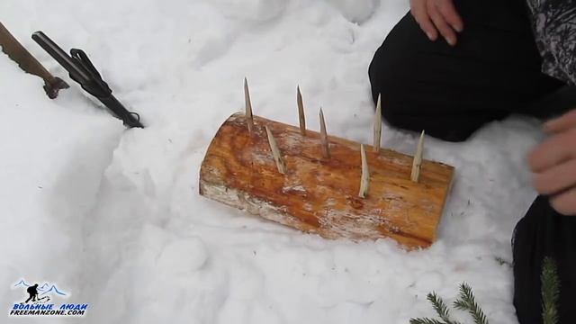 ЛОВУШКА НА ЗАЙЦА "ЗИМНИЕ РОЖНЫ". Редкий вариант бушкрафт ловушки для скрытой установки в снегу. смотреть онлайн