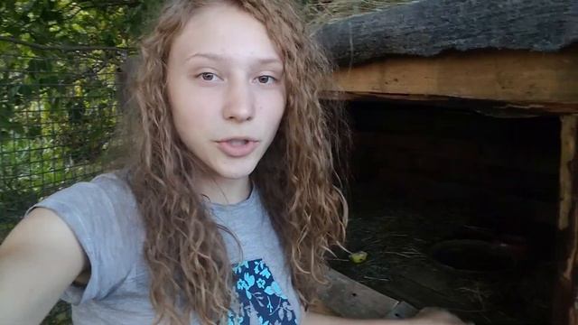 Новый кролик Барон. Как дела у Глории. Кролиководство. Кролики французский баран. смотреть онлайн