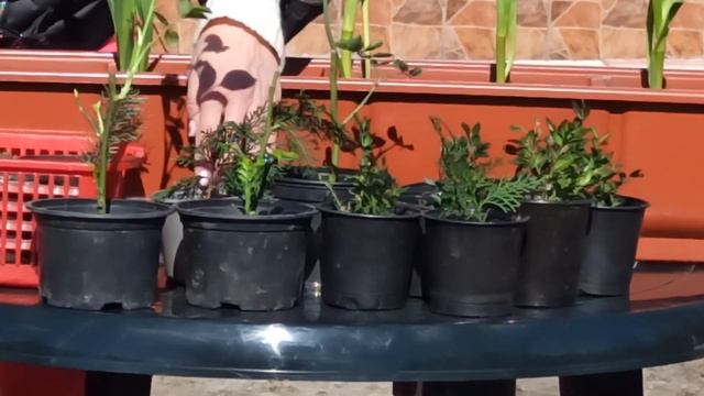 Что делать весной на даче смотреть онлайн