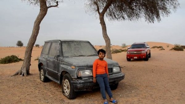SUGAR GLIDER |fact about sugar glider|animal found in Australia,indonesia