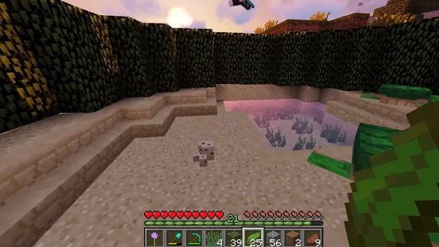 МАЙНКРАФТ ВЫЖИВАНИЕ ДЕВУШКИ #20 ✨СДЕЛАЛИ ФЕРМУ ЧЕРЕПАХ ✨ ВАНИЛЬНОЕ ВЫЖИВАНИЕ В minecraft смотреть онлайн