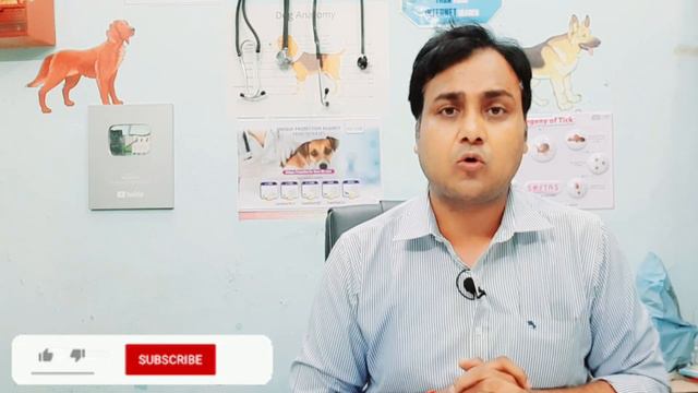 Liver failure in dogs : How to protect? смотреть онлайн