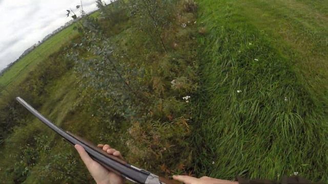 Первые Гуси нового сезона в Ленинградской Области. 12 сентября 2020. ? смотреть онлайн