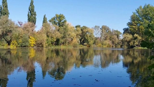 Осенняя сказка смотреть онлайн