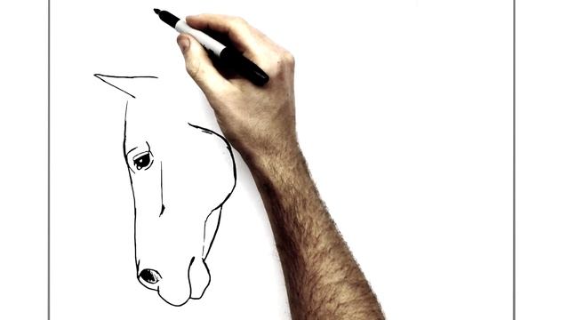 How To Draw A Horse | Step by Step | Side View смотреть онлайн