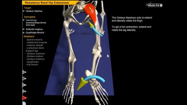 Махи ногами. Основная ошибка смотреть онлайн