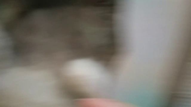 Дом для кота из коробок смотреть онлайн