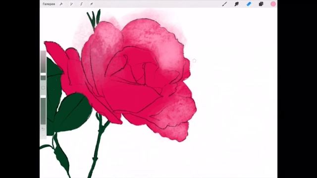 рисование Speedpaint iPad Pro процесс рисования Procreate смотреть онлайн