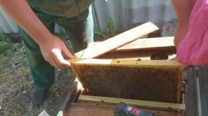 Делаем отводки в старых лежаках на маточник.