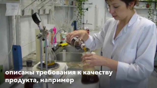 GMP ХАССП и ISO 22000. Безопасность пищевой продукции. Определение. «Верификация» смотреть онлайн