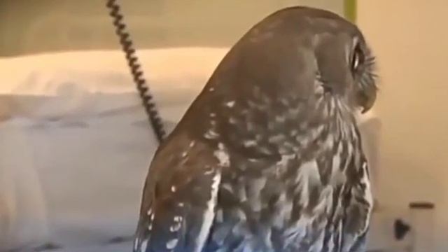 Офисные сотрудники смотреть онлайн