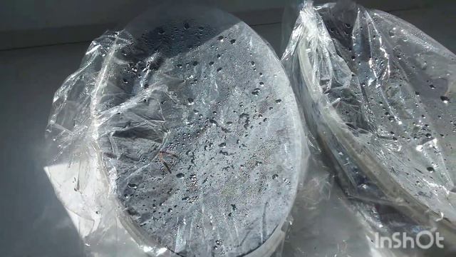 на балконе рассада смотреть онлайн