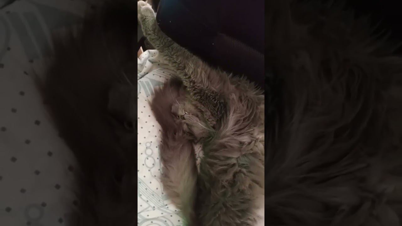 ляжу, как хочу смотреть онлайн