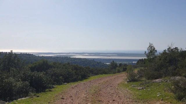 Пошли в поход... и получили штраф! смотреть онлайн