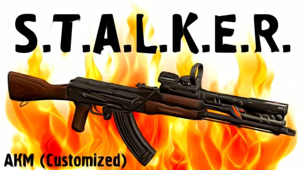 АКМ (Customized) - STCoP Weapon Pack 2.9
