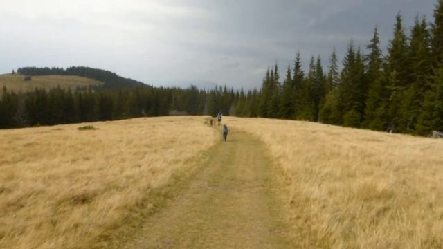 2017 09 Всі останні Карпатоформізації. Carpathian, Petros (Chornohora). смотреть онлайн