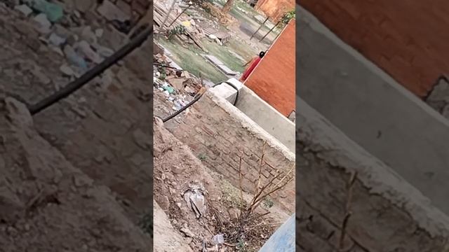 joging time Viral video ? record by MD MEKAIL смотреть онлайн