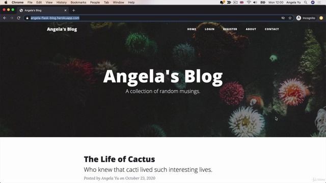 Day 70 - Advanced - Deploying Your Web Application - 571 Day 70 Goals - Learn to Deploy Your Website смотреть онлайн