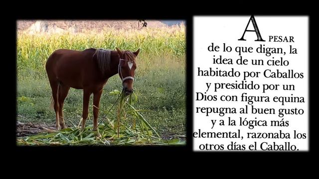 Augusto Monterroso. Caballo imaginando a Dios смотреть онлайн