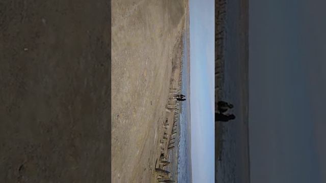 Куяльник Мертвое море Украина. смотреть онлайн