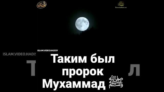 Таким был пророк Мухаммад с.а.в. смотреть онлайн