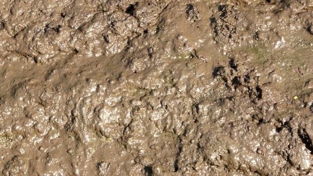 К чему снится ГРЯЗЬ во сне смотреть онлайн