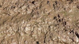 К чему снится ГРЯЗЬ во сне