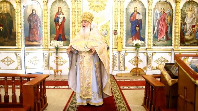 Проповедь протоиерея Стефана Домусчи 12 июля 2017 года смотреть онлайн
