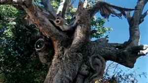 Лиловый шар (1987)