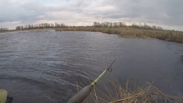 ЛОВЛЯ ЩУКИ ВЕСНОЙ НА ОСНАСТКУ ДЖИГ-РИГ ОТ "PRO JIG" смотреть онлайн