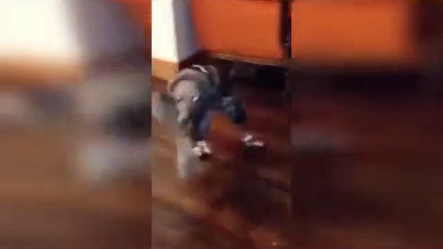 Короткие. Видео. Приколы. 60 смотреть онлайн