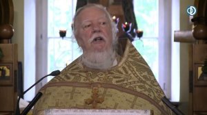 Протоиерей Димитрий Смирнов. Проповедь о зле и жизни вечной