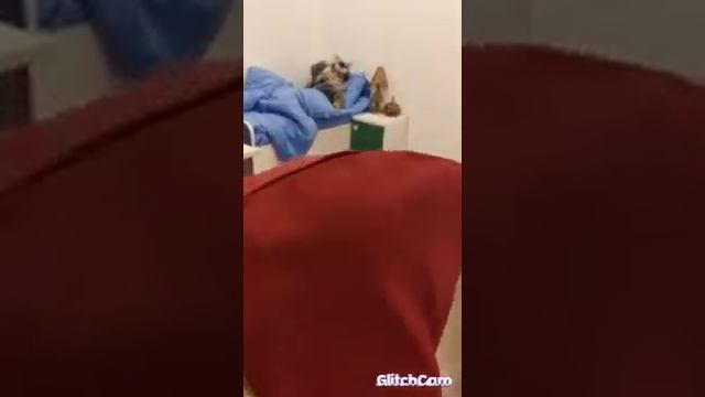 Сказка "Красная шапочка"? 051 649 60 10 ; (012) 371 86 77? Məhəmməd Hadi, 64. смотреть онлайн
