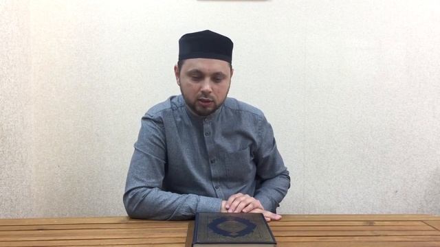 Рисунки животных на одежде смотреть онлайн