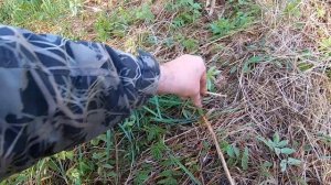 DEUS 2. Сравнили катушки  11' и 11'х13'.  Удивлён это мягко сказано.